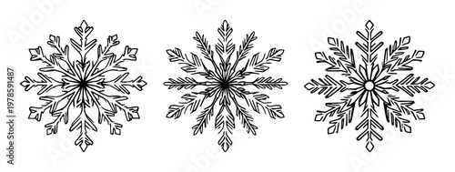 Snowflakes set with hand-drawn organic shapes featuring microscopic view, winter, crystal with ice and frost
