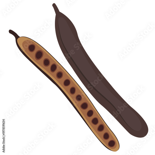 carob pods, natural sweetener vector.