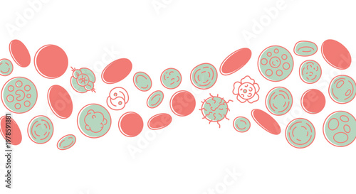Collection of various cell shapes forms.