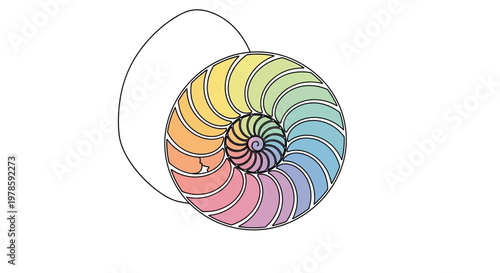 Colorful nautilus shell spiral design.