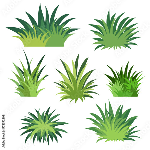 Realistic shrubs collection on white background.Set of shrubs