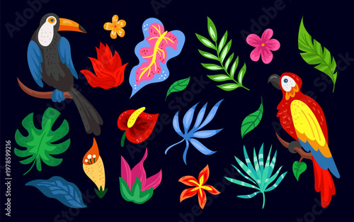 Tropical flower. Summer sticker. Exotic bird, colorful parrot, toucan. Leaf monstera, plant leaves. Jungle palm. Watercolor floral. Vector tidy forest characters cartoon flat isolated illustration