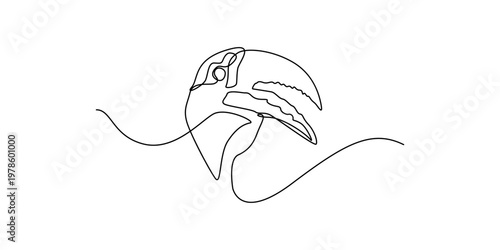 Flamingo vector illustration tropical exotic bird minimal wildlife design