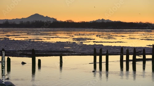 Fraser River Downstream Ice Floes 4K UHD. A seagull rides the ice going down the Fraser River in winter. Richmond, British Columbia, Canada. 4K UHD.
