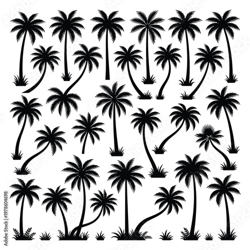 Collection of various black silhouette palm trees with fronds and trunks in different poses isolated on transparent background