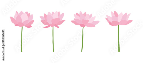 Pink lotus flower and green leaves illustration set. Flat vector illustration of blooming water lilies with long stems for traditional Asian design, greeting cards, and spa wellness concepts.