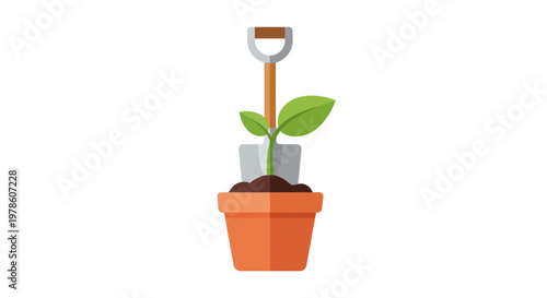 Small green plant in pot with soil.