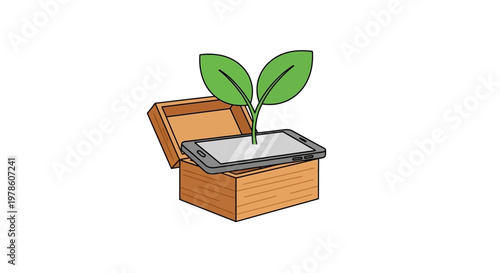 Small green plant in wooden box.