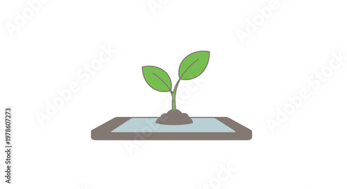 Small green plant on digital tablet.