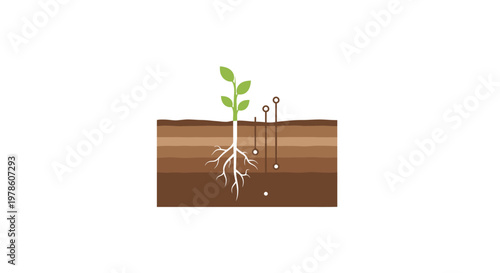 Small green plant with roots growing.