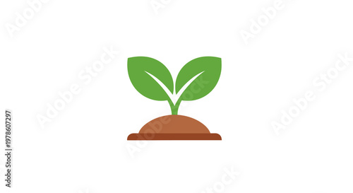 Small green plant sprout growing.