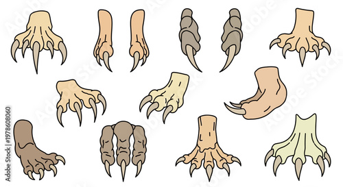 Tablou pe pânză Collection of monster feet with claws.