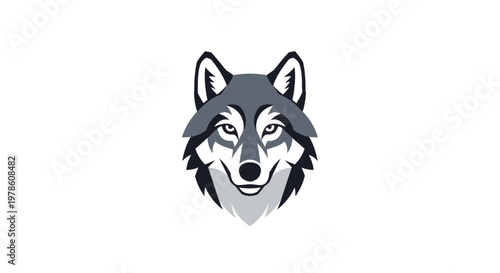 Gray wolf head illustration looking forward.
