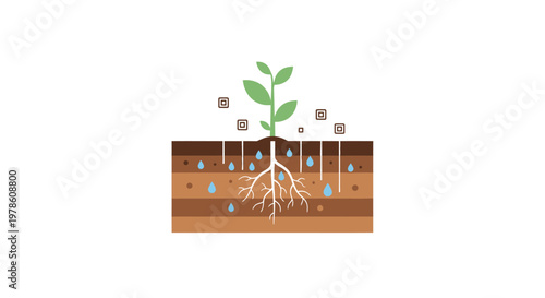 Green plant growing in soil layers.