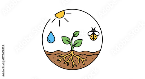 Green Plant Growing in Soil.