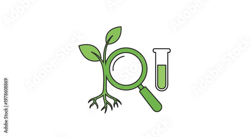Green plant growing with magnifying glass.
