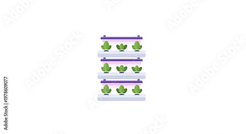 Green leafy vegetable on white trays.