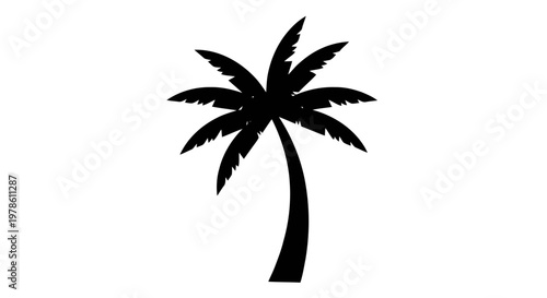 Vector illustration of silhouette of a tropical palm tree on a transparent background