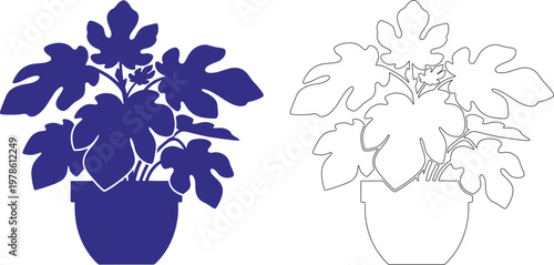 Blue fig plant silhouette in pot and outline fig plant