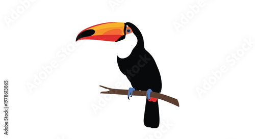 Colorful toucan bird with a large bright orange and red beak is perched on a brown branch against a clean white background for nature themes.