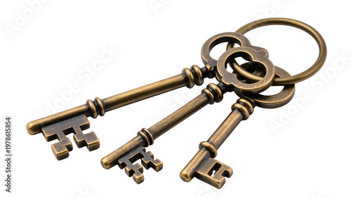 Obraz na plátně Antique bronze skeleton keys on a ring, isolated on transparent background