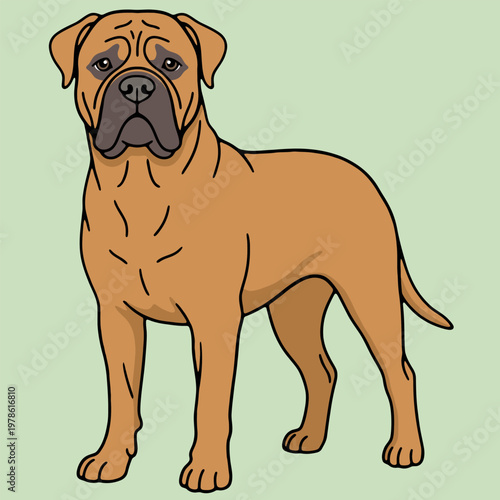 Strong Bullmastiff Standing in Flat Design Vector Illustration