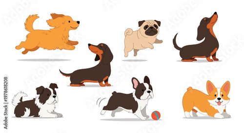 Collection set flat style vector illustration of cute dogs in various poses, playful puppy characters, pet animals isolated, friendly domestic canine design