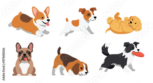Collection set flat style vector illustration of cute dogs in various poses, playful puppy characters, pet animals isolated, friendly domestic canine design