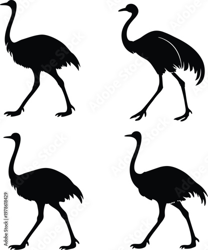 Collection of black ostrich silhouettes walking in various poses
