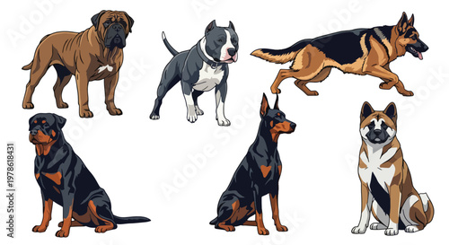 Collection set flat style vector illustration of guardian dog breeds including rottweiler, german shepherd and pitbull, domestic animals isolated, strong canine characters