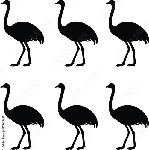 Collection of ostrich silhouettes