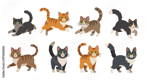 Collection set flat style vector illustration of cats in various poses, playful kitten characters, domestic feline animals isolated, adorable pet design bundle