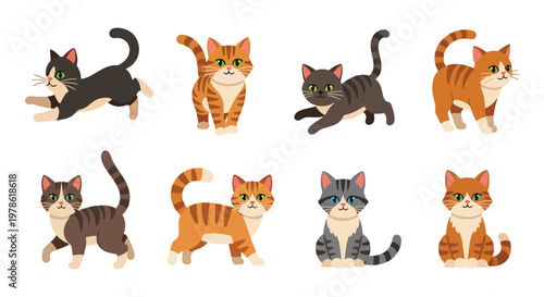 Collection set flat style vector illustration of cats in various poses, playful kitten characters, domestic feline animals isolated, adorable pet design bundle