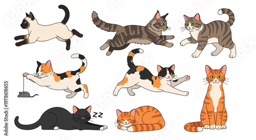 Collection set flat style vector illustration of cats in various poses, playful kitten characters, domestic feline animals isolated, adorable pet design bundle