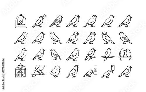 Canaries and cages with domestic canaries, singing canaries, color-bred canaries, and indoor aviary setups clean monoline outline