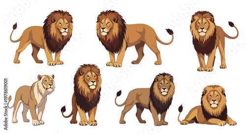 Collection set flat style vector illustration of lions in various poses, wild animals isolated, king of jungle concept, strong feline characters design