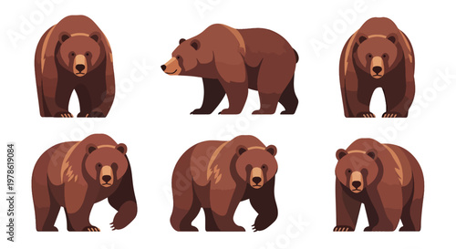 Collection set flat style vector illustration of brown grizzlies bears in different poses, wild animals isolated, forest wildlife characters, strong mammal design