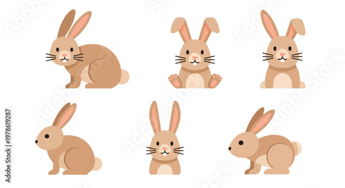 Canvas Print Collection set flat style vector illustration of rabbits in different poses, cut