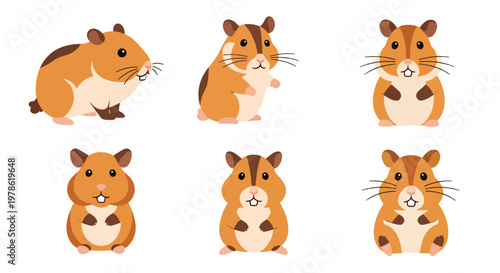 Collection set flat style vector illustration of hamsters in different poses, small pet animals isolated, adorable rodent characters, cute design bundle