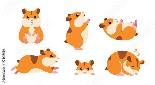 Collection set flat style vector illustration of hamsters in different poses, small pet animals isolated, adorable rodent characters, cute design bundle