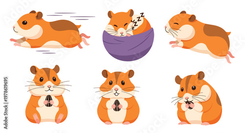 Collection set flat style vector illustration of hamsters in different poses, small pet animals isolated, adorable rodent characters, cute design bundle