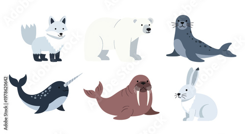 Collection set flat style vector illustration of arctic animals including seal, walrus, narwhal, polar bear and fox, cold wildlife characters isolated
