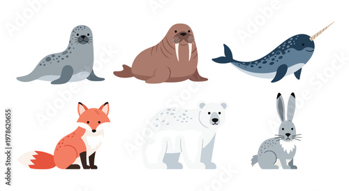 Collection set flat style vector illustration of arctic animals including seal, walrus, narwhal, polar bear and fox, cold wildlife characters isolated