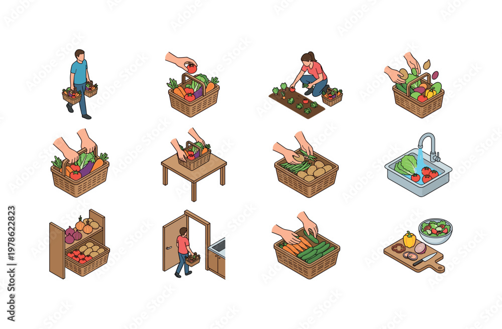 Fototapeta premium Carrying vegetable basket, placing vegetables in basket, picking vegetables from garden, filling basket with produce, holding