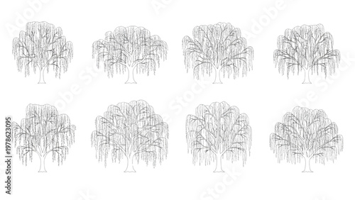 Collection of weeping willow tree outlines, vector art, beautiful natural elements