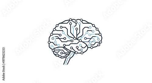 Detailed drawing of a human brain.