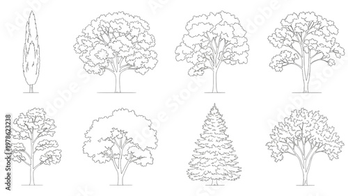 Diverse collection of tree outlines and silhouettes, showcasing various species for architectural plans and landscape design projects