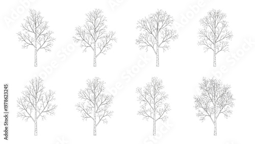 Collection of diverse bare deciduous tree silhouettes, ideal for seasonal nature illustrations and designs