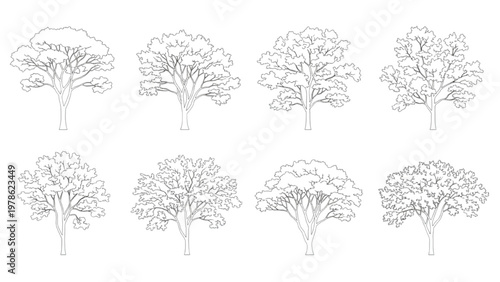 Set of eight different tree outlines on white background, nature's diverse forms