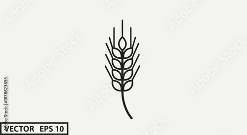 A natural closeup of golden wheat ears and green cereal plant leaves isolated on a white background showcases organic grain growth and agricultural summer seeds